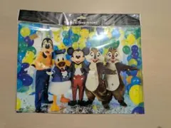 新品　ディズニー　イマジニング・ザ・マジック　クリアファイル　ミッキー　ドナルド