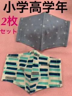 熟練の職人作製 星柄ブルー  インナーマスク マスクカバー  子供用 小学高学年