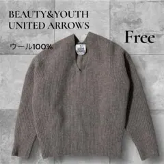 【美品】ユナイテッドアローズ Vネックニット ハミルトンウール100％