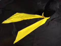 Item thumbnail for item 3f901eee-3338-4820-a95a-05e7461a1530