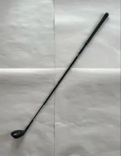 Item thumbnail for item 97fa65cb-523f-47f6-a776-4dab3ad2c924