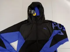 Item thumbnail for item c7db0311-a6a4-4b3f-ae29-a5a626eec99a