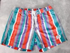 Suns MULTI STRIPE SIGN LOGO SWIM SHORTSのサムネイル