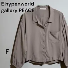【E hyphen PEACE／イーハイフン】ブラウス F 色あせ訳あり 袖ゴム