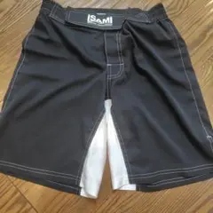 イサミ　ISAMI　ファイトショーツ　　MMA　キックボクシング　Lサイズ