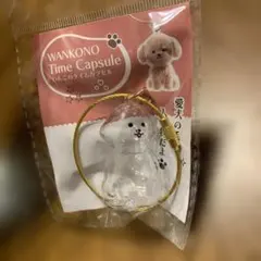わんこのタイムカプセル　WANKONO タイムカプセル モカ