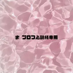 ま プロフ必読様専用