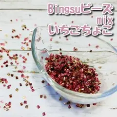 【匿名発送】Bingsuビーズ(mixいちごちょこ) 30g スライム資材