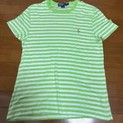 Polo by Ralph Lauren ストライプTシャツ L 25 170