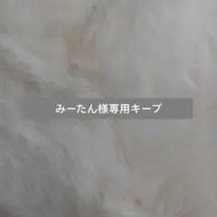 みーたん様専用