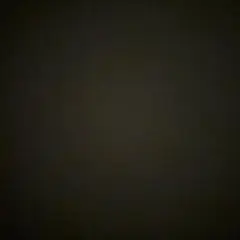 ベックマン様　専用