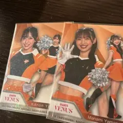 Item thumbnail for item 46606342-6d86-4bb8-9e9c-1cae59377083