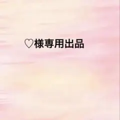♡様専用出品