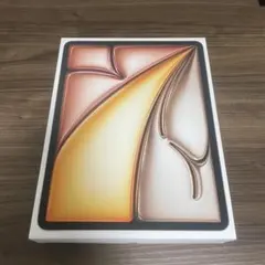 【美品】256GB iPad Air M2 13インチWi-Fiモデル