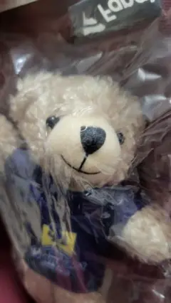 SoftBankホークス　クマ チャンピオンロゴ入りキーチェーン