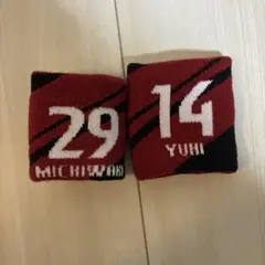 ロアッソ熊本 アームバンド 29 道脇豊　14竹本雄飛