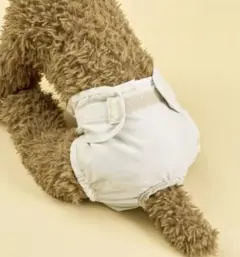 【新品】調整可能マナーパンツ　3coins犬用マナーパンツ　アイボリー　スリコのサムネイル