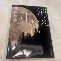2026年最新】秋元康 こんなに美しい月の夜を君は知らないの人気