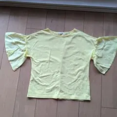 branshes150センチTシャツ