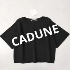 Item thumbnail for item e98fc2b7-b17f-44e0-916f-f01ee0f2d297