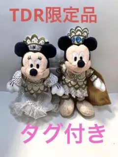TDR25周年限定 2009年　NEW YEAR　ミッキーミニーペアぬいぐるみ