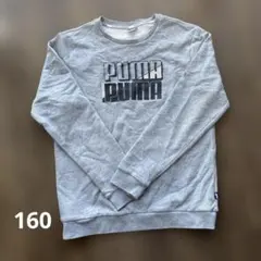 PUMA グレー トレーナー 160