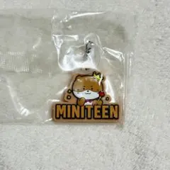 MINITEEN ガチャ　ディノ