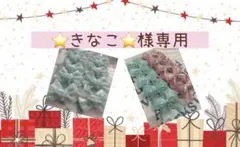 ⭐きなこ⭐様専用