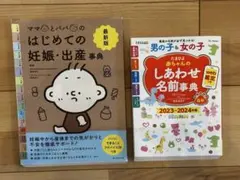 뷰티 육아 책 이름: 남자, 소녀, 임신, 출산, 아이