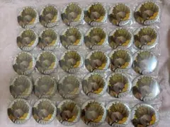 ヒロアカ ジャンプGIGA 新十傑 缶バッジ ホークス