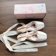 シルビア ネオチェリー NC 22cm D バレエ トウシューズ ポワントのサムネイル