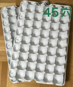 卵ケース　卵パック　45穴　2枚組