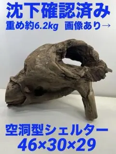 Item thumbnail for item 3cb3ed99-bc5a-4a9f-bd11-071d87343ee5