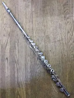 Item thumbnail for item 99f1ba22-90a5-4201-b11f-df30cfec9678