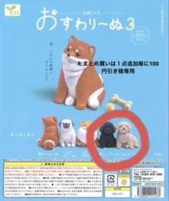 R:まとめ買いは１点追加毎に100円引き様専用
