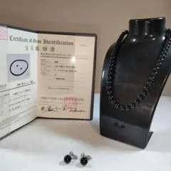 c79 超美品　本珊瑚　天然黒サンゴ　ネックレス　イヤリング　セット売