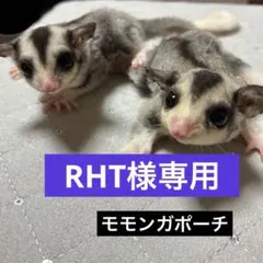 RHT様専用