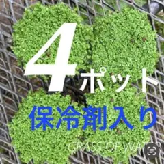 Masahiko Takechi様 リクエスト 3点 まとめ商品