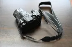 2025年最新】NIKON DP-1の人気アイテム - メルカリ