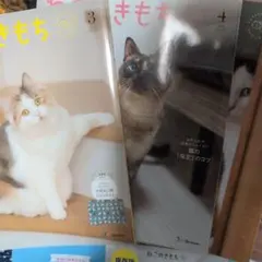 ねこのきもち ３月号〜７月号 (５冊)と一部付録のサムネイル