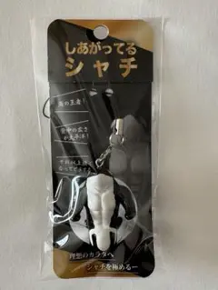 しあがってるシャチ キーホルダー　ストラップ