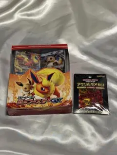 ポケモンカード　炎のブースターGX アクリルダメカン