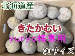 2026年最新】キタカムイの人気アイテム - メルカリ
