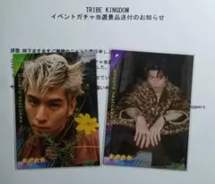 TRIBE KINGDOM トラキン リアルカード 長谷川慎