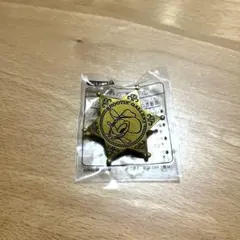 【ディズニー限定グッズ】 ドナルド星形バッジ