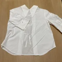 バックリボンシのサムネイル