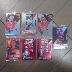 日本代表 バレーボール トレーディングカードセット