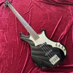 メンテ済 GrassRoots the GazettE REITA ESPケース 楽天市場】【ESP直営店】the GazettE REITAモデル EDWARDS E-RF