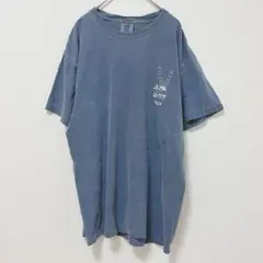 Comfort Colors 半袖Tシャツ SENIOR 2018のサムネイル