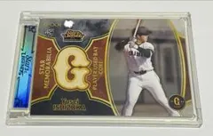 Item thumbnail for item 847ffb3e-a44a-445a-ae70-9c151293b5c4